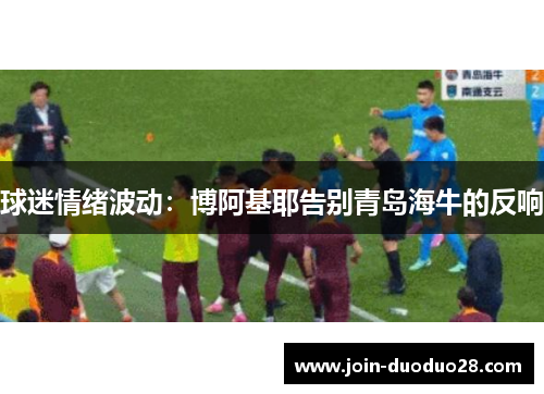 球迷情绪波动：博阿基耶告别青岛海牛的反响