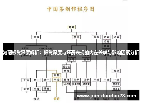 河南板凳深度解析：板凳深度与杯赛表现的内在关联与影响因素分析