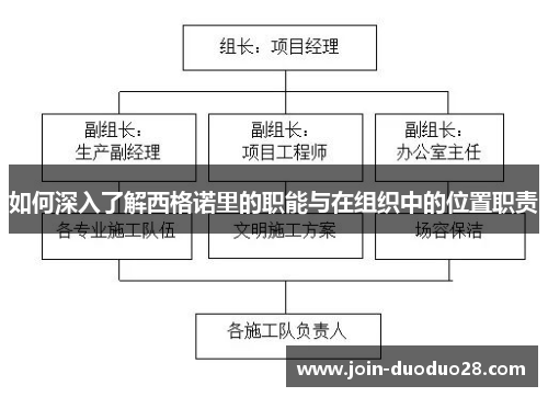 如何深入了解西格诺里的职能与在组织中的位置职责